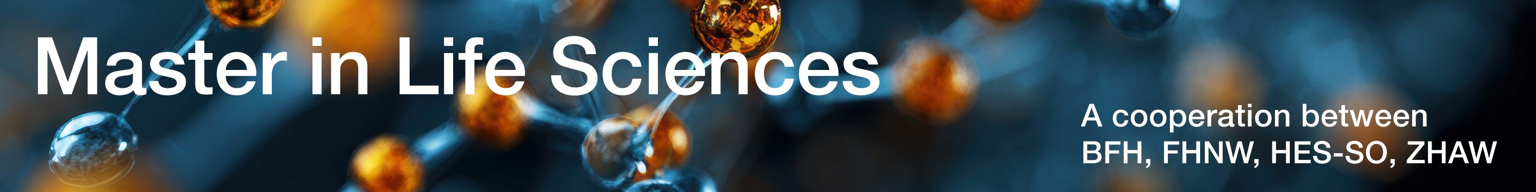 MSLS cooperation logo